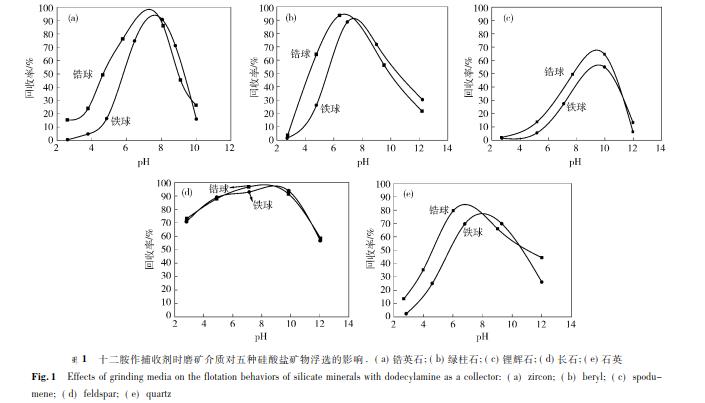 十二胺作捕收劑時磨礦介質(zhì)對五種硅酸鹽礦物浮選的影響 